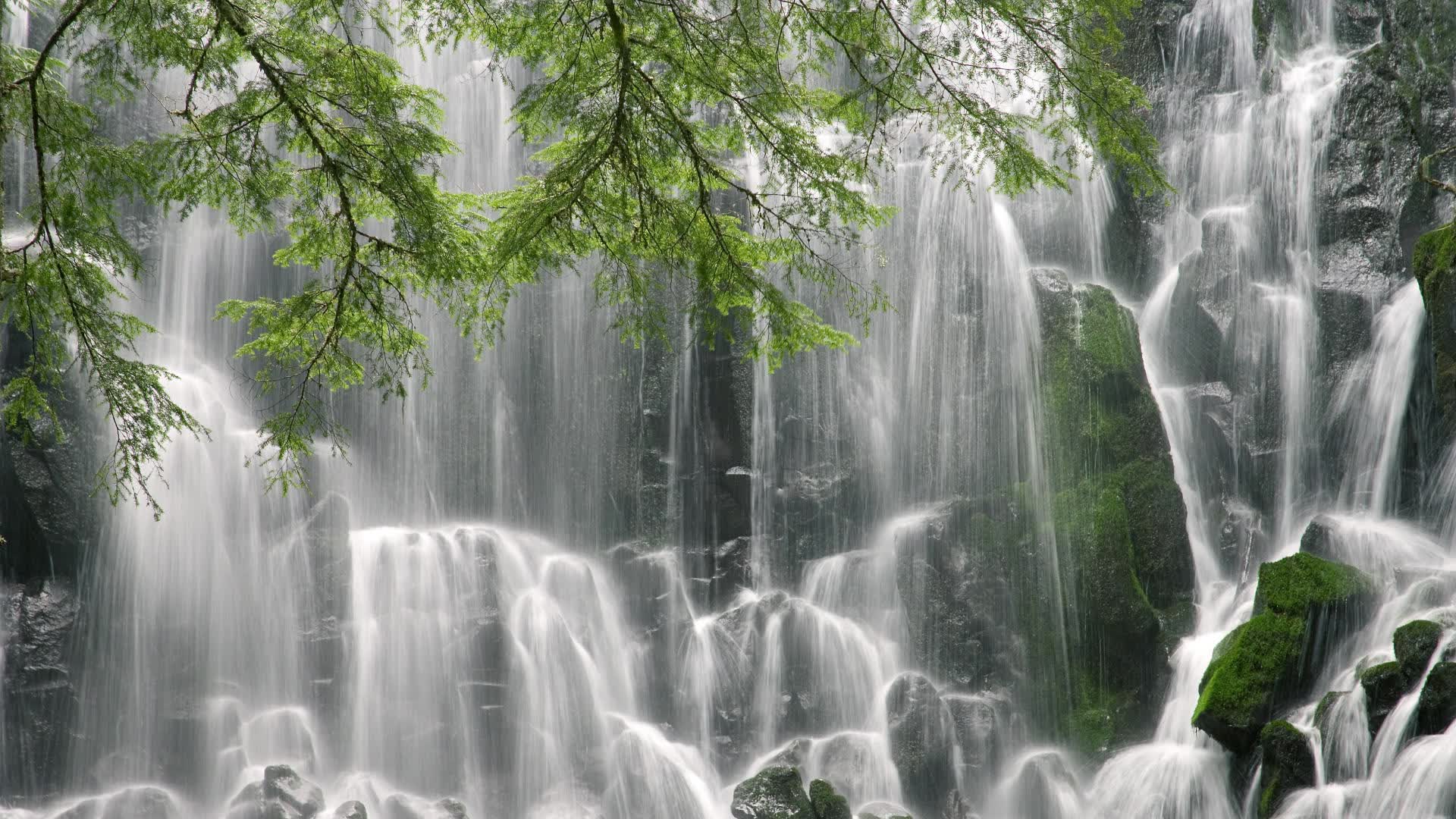 世界自行车计时赛:节奏管理与装备配合并重,世界自行车赛时速多少